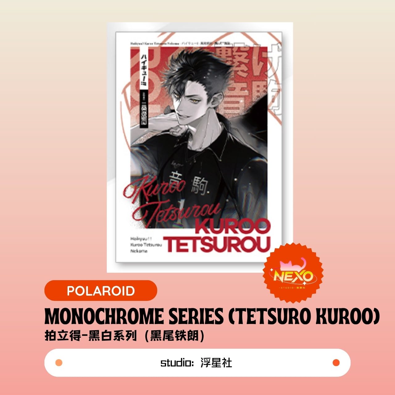 Kenma Kozume/Tetsuro Kuroo/Toru Oikawa/Shoyo Hinata/Tobio Kageyama/Kei Tsukishima  Haikyuu!! Monochrome Series Art Print/Polaroid/Holographic Ticket