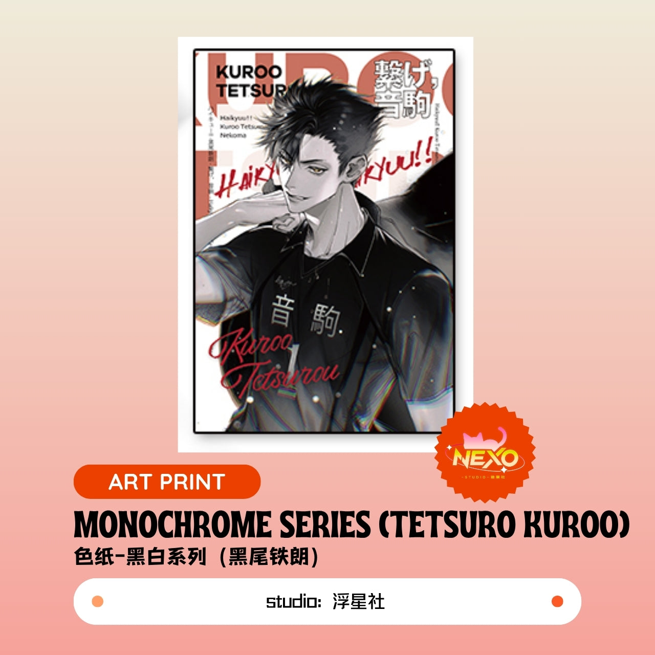 Kenma Kozume/Tetsuro Kuroo/Toru Oikawa/Shoyo Hinata/Tobio Kageyama/Kei Tsukishima  Haikyuu!! Monochrome Series Art Print/Polaroid/Holographic Ticket