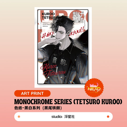 Kenma Kozume/Tetsuro Kuroo/Toru Oikawa/Shoyo Hinata/Tobio Kageyama/Kei Tsukishima  Haikyuu!! Monochrome Series Art Print/Polaroid/Holographic Ticket