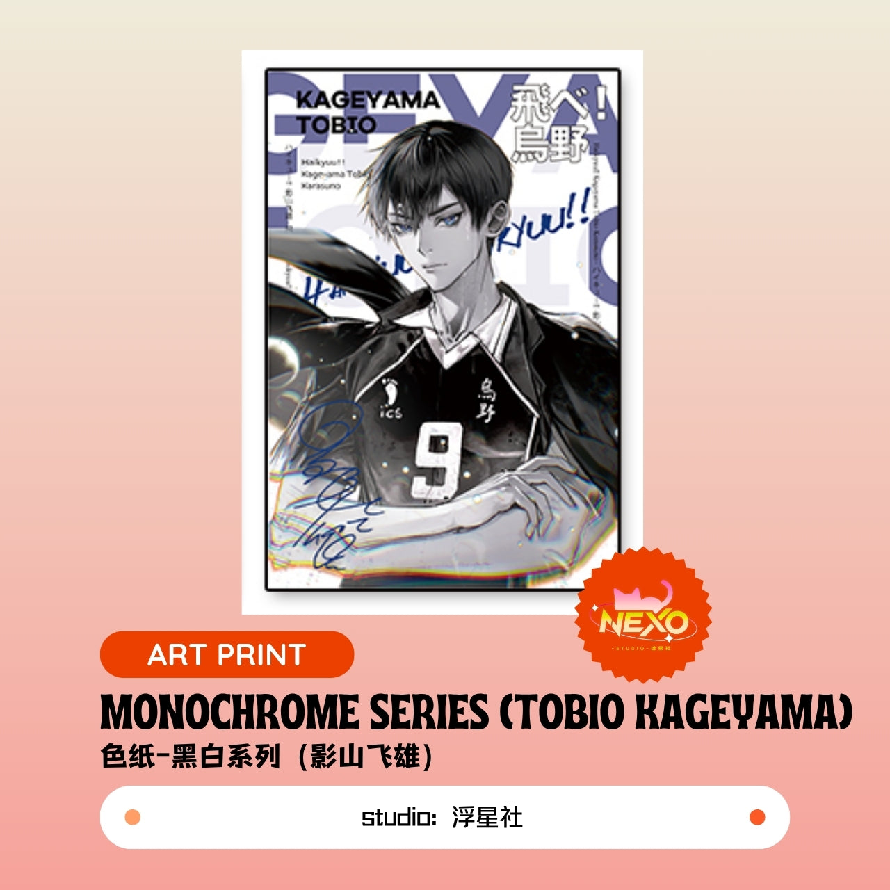 Kenma Kozume/Tetsuro Kuroo/Toru Oikawa/Shoyo Hinata/Tobio Kageyama/Kei Tsukishima  Haikyuu!! Monochrome Series Art Print/Polaroid/Holographic Ticket