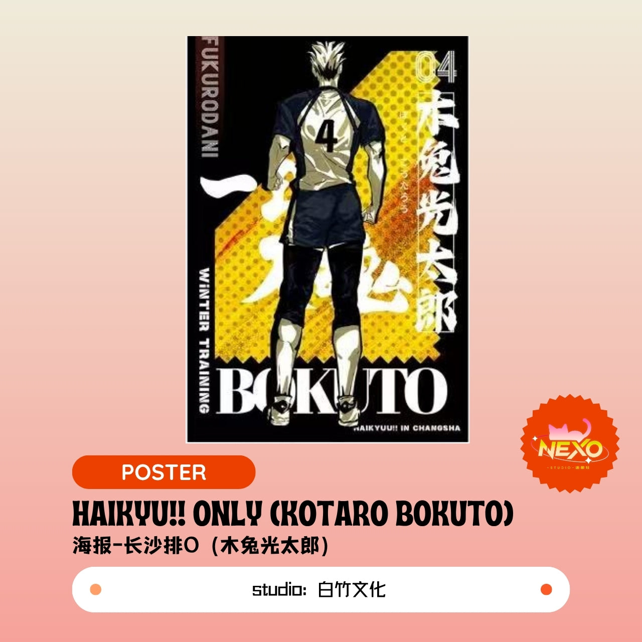Kenma Kozume/Tetsuro Kuroo/Toru Oikawa/Hajime Iwaizumi/Shoyo Hinata/Tobio Kageyama/Keiji Akaashi/Kotaro Bokuto  Haikyuu!!  Haikyu!! Only Poster/Clear Card/Postcard