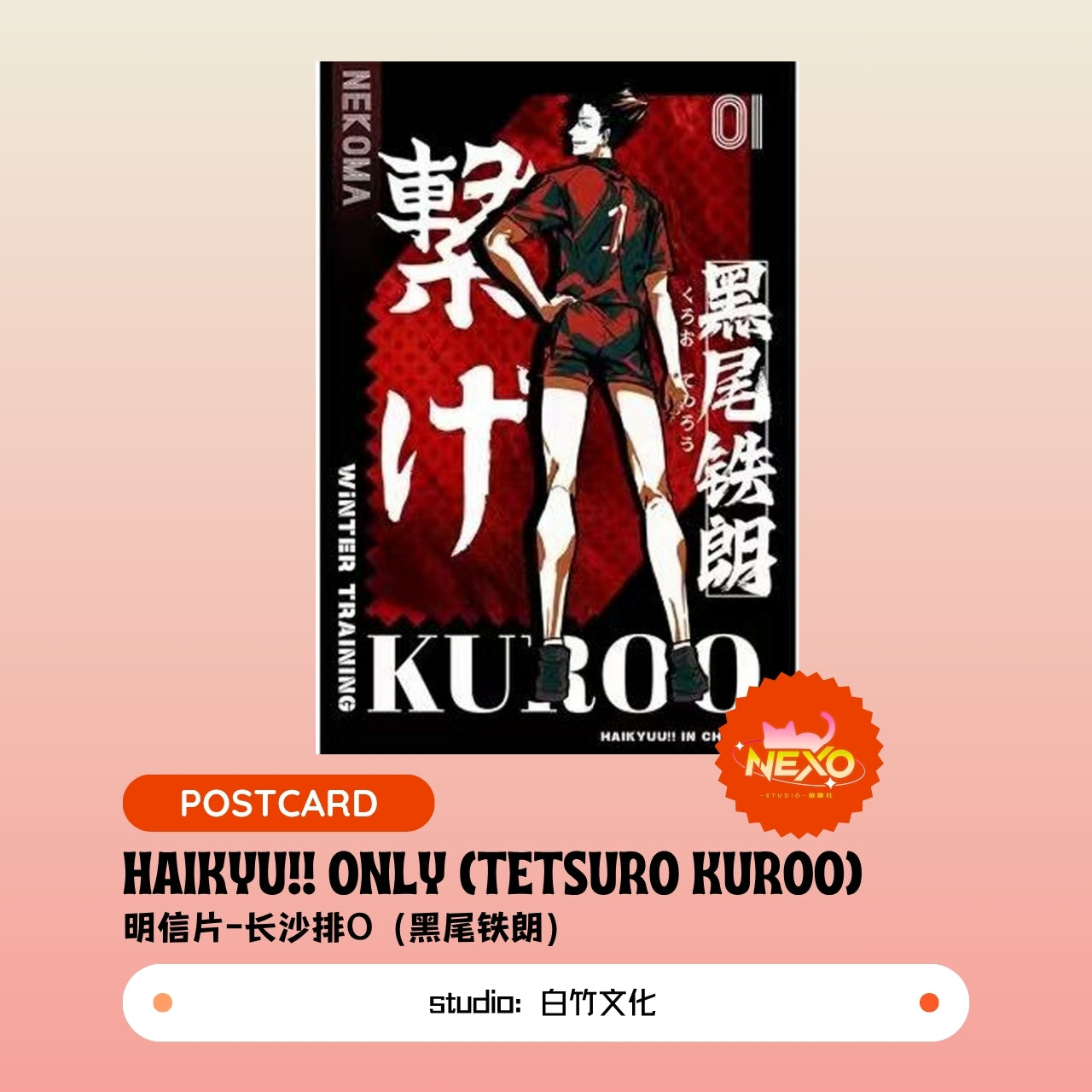 Kenma Kozume/Tetsuro Kuroo/Toru Oikawa/Hajime Iwaizumi/Shoyo Hinata/Tobio Kageyama/Keiji Akaashi/Kotaro Bokuto  Haikyuu!!  Haikyu!! Only Poster/Clear Card/Postcard