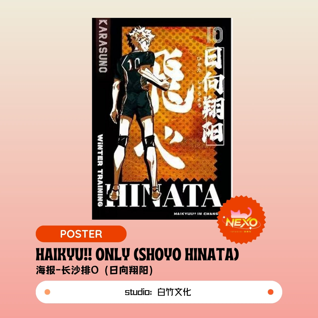Kenma Kozume/Tetsuro Kuroo/Toru Oikawa/Hajime Iwaizumi/Shoyo Hinata/Tobio Kageyama/Keiji Akaashi/Kotaro Bokuto  Haikyuu!!  Haikyu!! Only Poster/Clear Card/Postcard