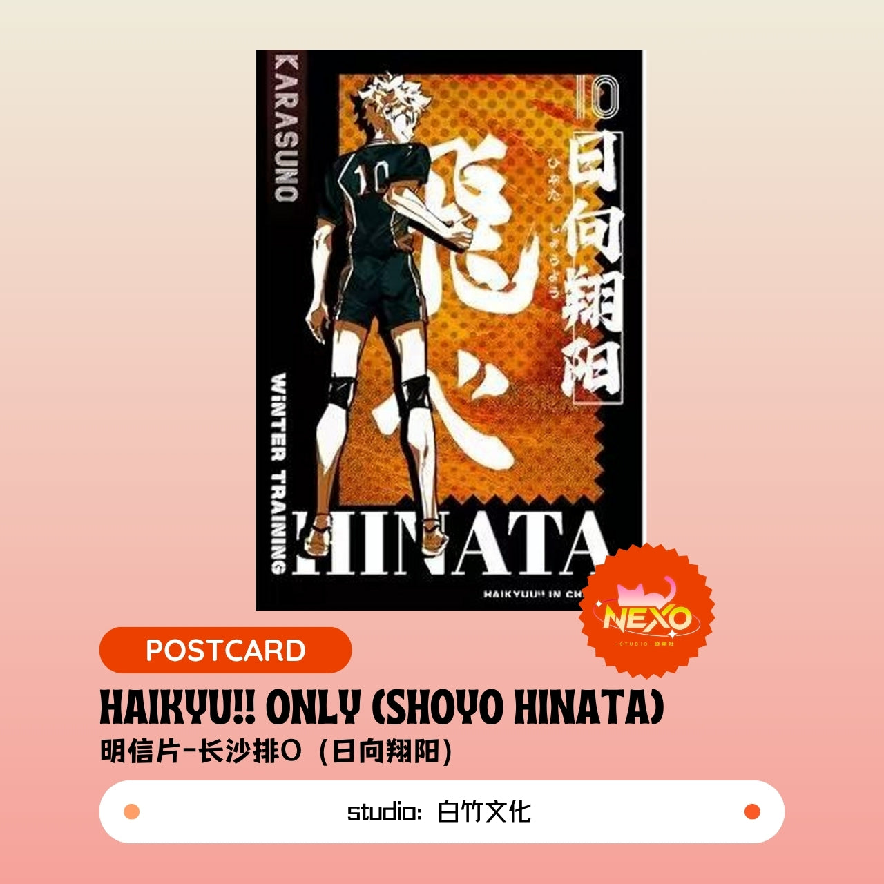 Kenma Kozume/Tetsuro Kuroo/Toru Oikawa/Hajime Iwaizumi/Shoyo Hinata/Tobio Kageyama/Keiji Akaashi/Kotaro Bokuto  Haikyuu!!  Haikyu!! Only Poster/Clear Card/Postcard