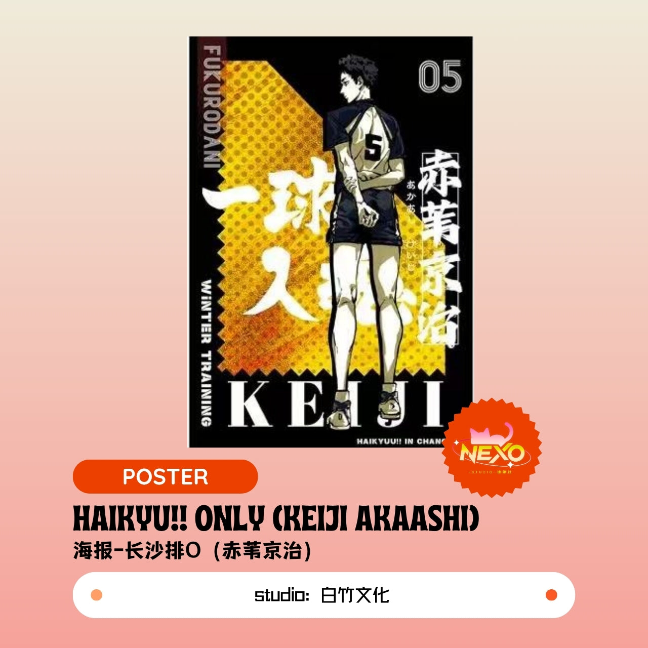 Kenma Kozume/Tetsuro Kuroo/Toru Oikawa/Hajime Iwaizumi/Shoyo Hinata/Tobio Kageyama/Keiji Akaashi/Kotaro Bokuto  Haikyuu!!  Haikyu!! Only Poster/Clear Card/Postcard