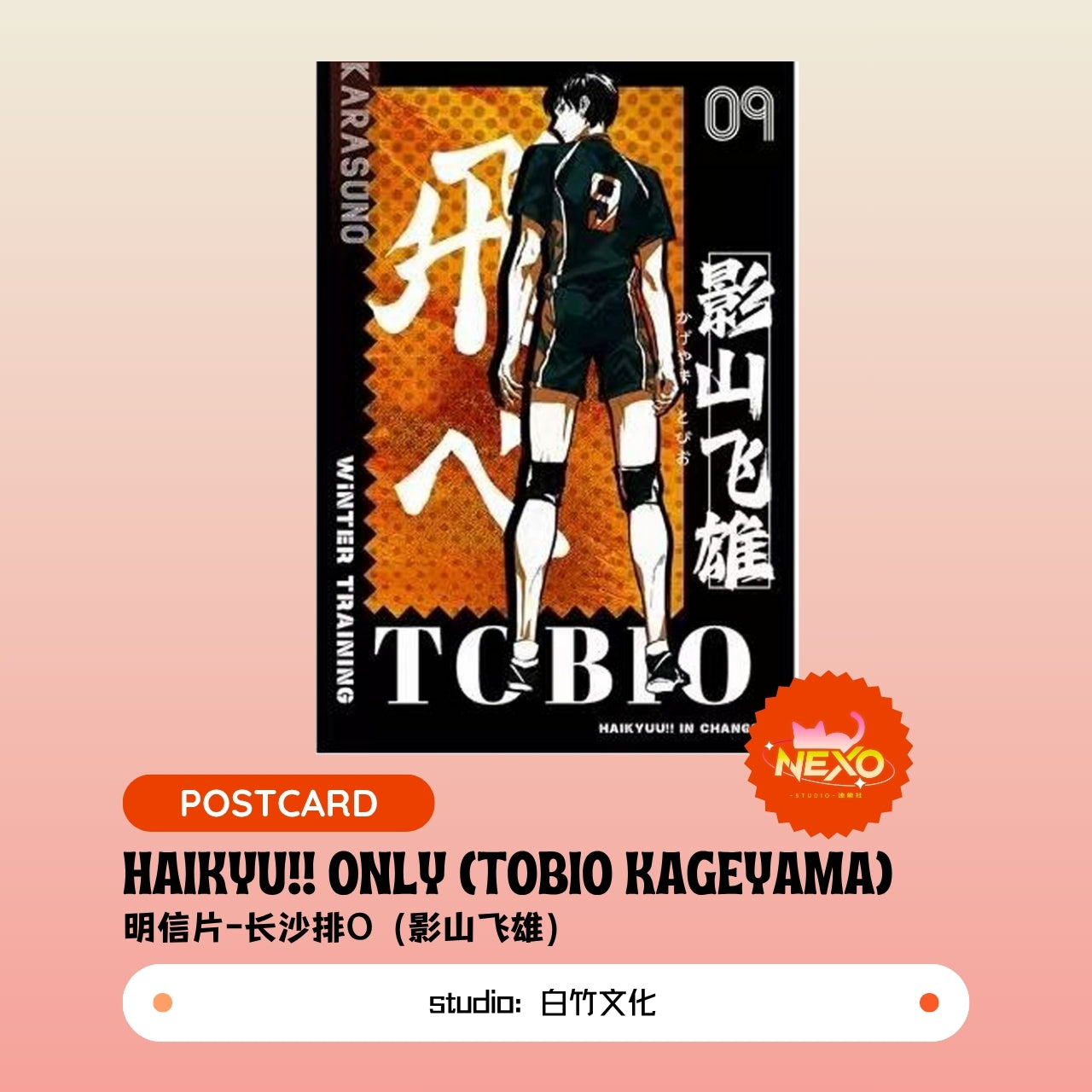 Kenma Kozume/Tetsuro Kuroo/Toru Oikawa/Hajime Iwaizumi/Shoyo Hinata/Tobio Kageyama/Keiji Akaashi/Kotaro Bokuto  Haikyuu!!  Haikyu!! Only Poster/Clear Card/Postcard