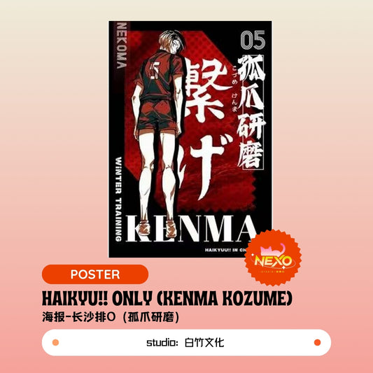 Kenma Kozume/Tetsuro Kuroo/Toru Oikawa/Hajime Iwaizumi/Shoyo Hinata/Tobio Kageyama/Keiji Akaashi/Kotaro Bokuto  Haikyuu!!  Haikyu!! Only Poster/Clear Card/Postcard